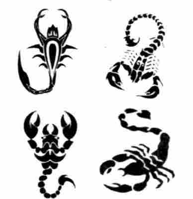 dibujos de tattoo. dibujos tatuajes escorpiones.